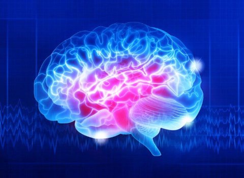 Human brains use quantum computation, Trinity research suggests